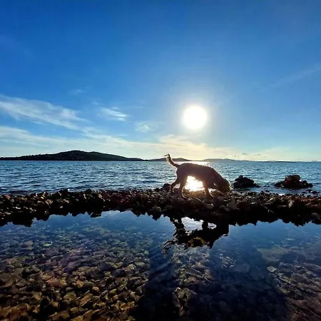 Apartamento In Zaboric With Sea View, Balcony, Air Conditioning, Wifi 5177-2 *