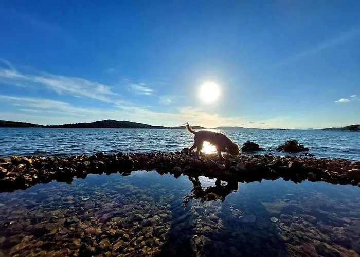 Apartamento In Zaboric With Sea View, Balcony, Air Conditioning, Wifi 5177-2 *